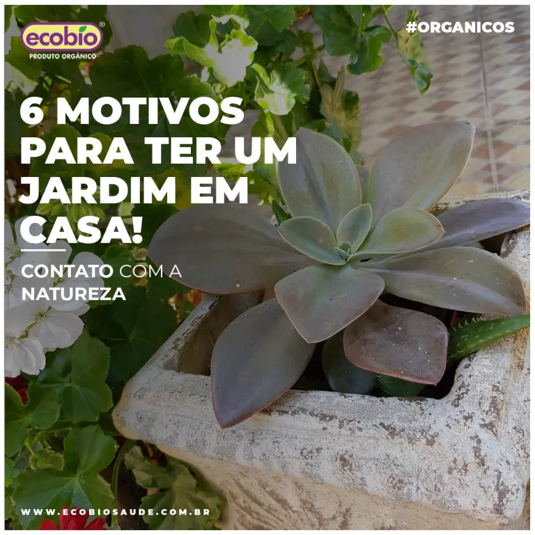 6 motivos para ter um jardim em casa